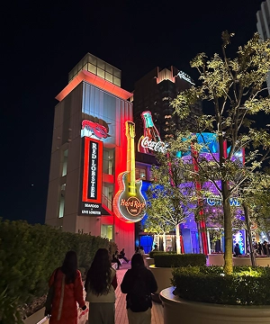 루프 이미지1