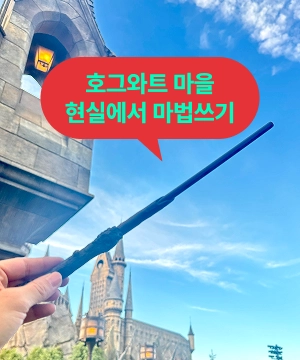 루프 이미지2