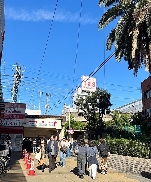루프 이미지7